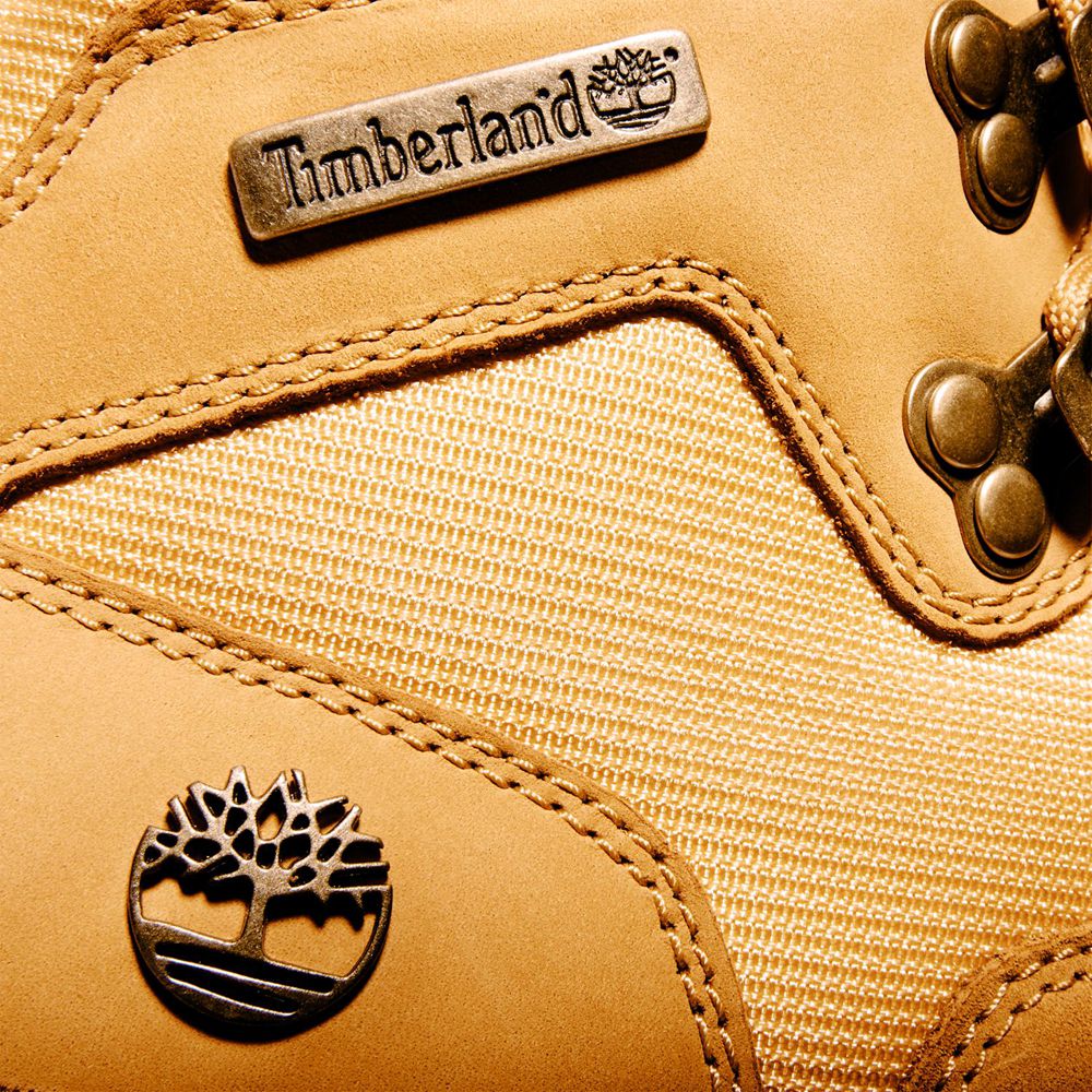 Timberland Παπούτσια Πεζοπορίας Ανδρικα Καφε - Euro - Greece 2645073-FY